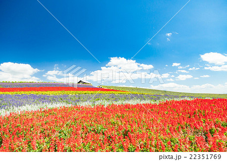 北海道 富良野 かんのファーム 北海道 富良野 かんのファーム 22351769