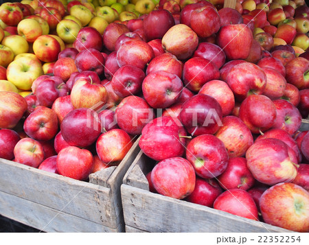 市場のりんご 22352254