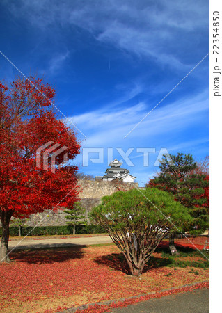 秋の小峰城 22354850