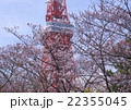東京タワーとサクラ 22355045