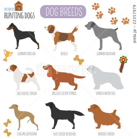 Dog breeds. Hunting dog set icon. Flat style 22357979