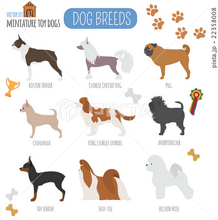 Dog Breeds Miniature Toy Dog Set Icon Flat Styleのイラスト素材