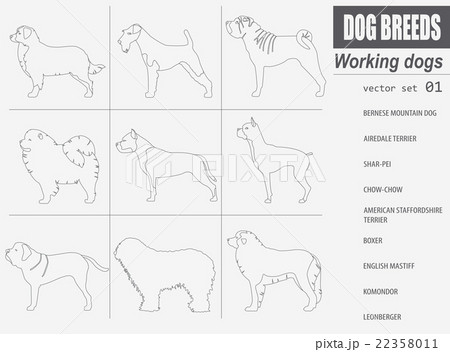 Dog breeds. Working (watching) dog set icon. 22358011