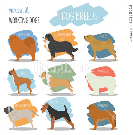 Dog breeds. Working (watching) dog set icon. 22358012