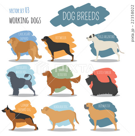 Dog breeds. Working (watching) dog set icon.  22358022