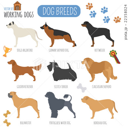 Dog breeds. Working (watching) dog set icon.  22358024
