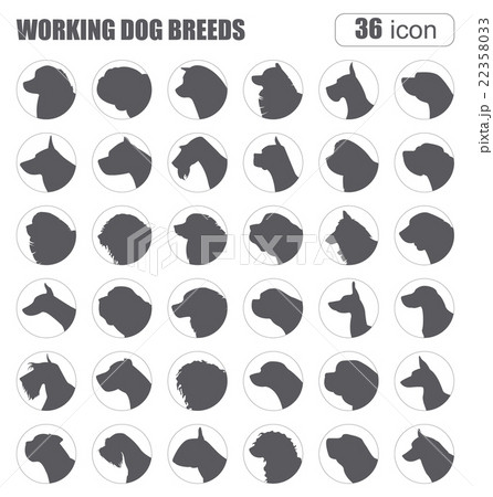 Dog breeds. Working (watching) dog set icon.  22358033