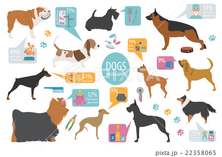 Dog info graphic template. Heatlh care, vet 22358065