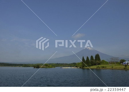 富士山と田貫湖の新緑（静岡県） 22359447