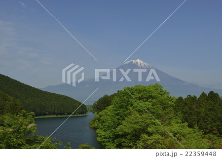 富士山と田貫湖の新緑（静岡県） 22359448