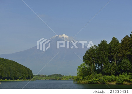 富士山と田貫湖(静岡県) 富士山と田貫湖(静岡県) 22359451