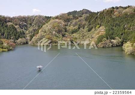 春の城山湖 春の城山湖 22359564