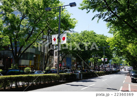 5月都市風景1361新緑の表参道 22360369