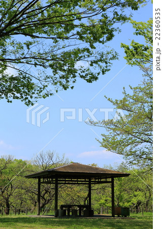 公園の四阿 22360535