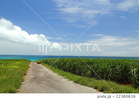 小浜島・海に伸びる道 22360616