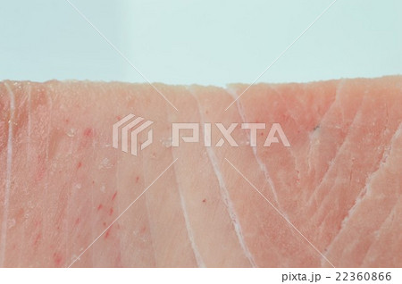 マグロの刺し身　白背景 22360866