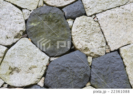 富山城の石垣･黒石 白石（富山城址公園／富山県富山市丸の内） 22361088