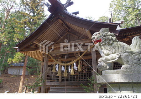 信州 上伊那 辰野町の神社 北大出 神明神社 天狗祭りは無形文化財指定 右狛犬と拝殿俯瞰 横 信州 上伊那 辰野町の神社 北大出 神明神社 天狗祭りは無形文化財指定 右狛犬と拝殿俯瞰 横 22361721