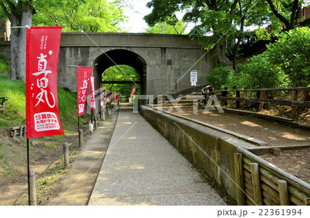 けやき並木遊歩道 けやき並木遊歩道 22361994