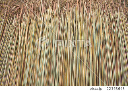 texture of thatch texture of thatch 22363643