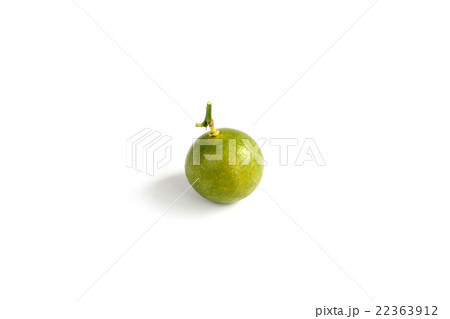 Kumquat on white background 22363912