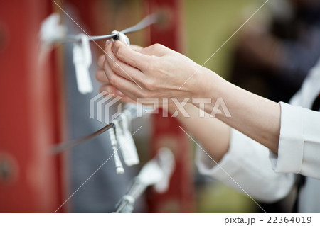 おみくじをひいた女性 22364019