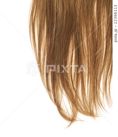Hair fragment over the white 22366113