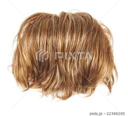 Hair wig isolated 22366200