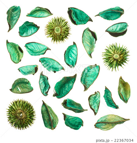 Dried medley potpourri leaves isolated Dried medley potpourri leaves isolated 22367034
