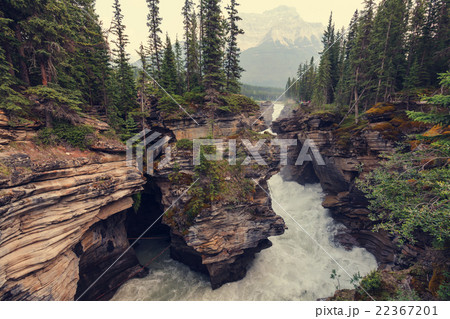 Canyon in Banff NP 22367201