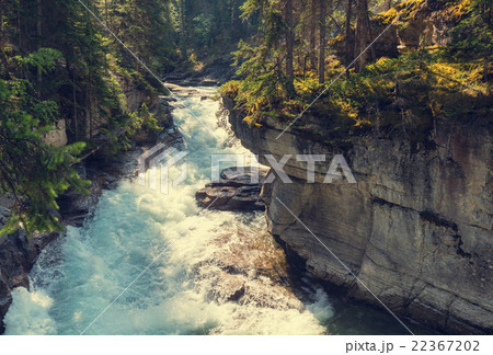 Canyon in Banff NP 22367202