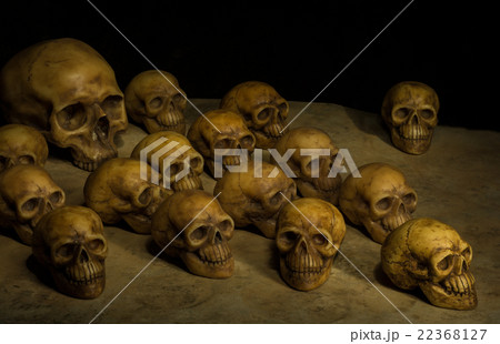 Still Life with a Skull Still Life with a Skull 22368127