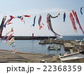 福浦港の鯉のぼり 福浦港の鯉のぼり 22368359