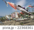 福浦港の鯉のぼり 福浦港の鯉のぼり 22368361