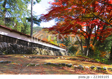 秋の福満虚空蔵尊円蔵寺 22369105
