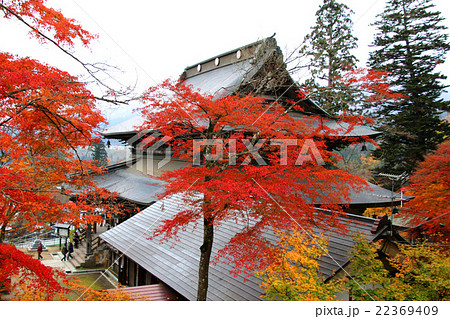 秋の福満虚空蔵尊円蔵寺 秋の福満虚空蔵尊円蔵寺 22369409