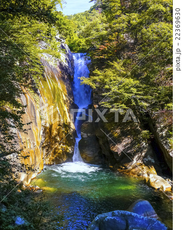 仙娥滝(縦) 仙娥滝(縦) 22369630