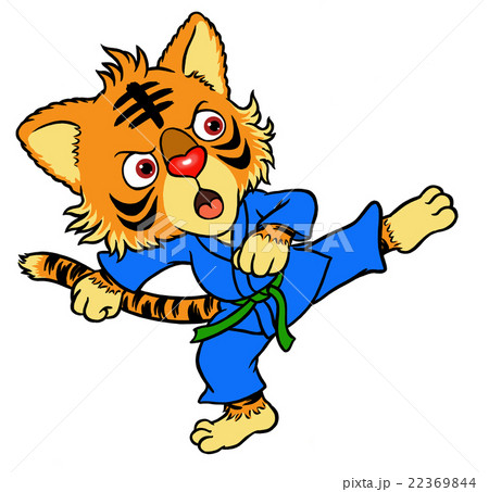 空手キッズ 22369844