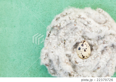 Easter background with quail egg Easter background with quail egg 22370726
