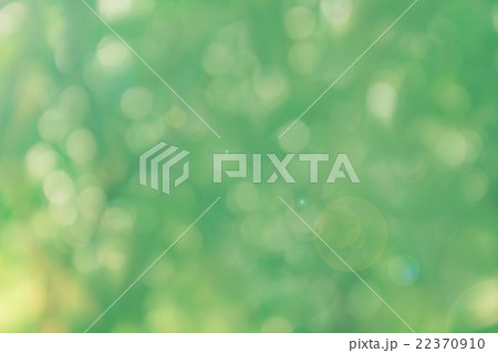 Spark and blow natural bokeh of tree in romantic soft abstract l 22370910