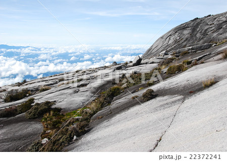 キナバル山頂付近の岩肌(東マレーシア/ボルネオ島) キナバル山頂付近の岩肌(東マレーシア/ボルネオ島) 22372241