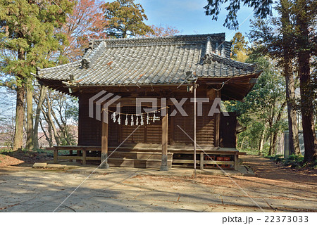 見沼田圃:鷲神社 見沼田圃:鷲神社 22373033