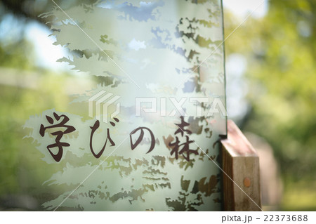 学びの森 学びの森 22373688