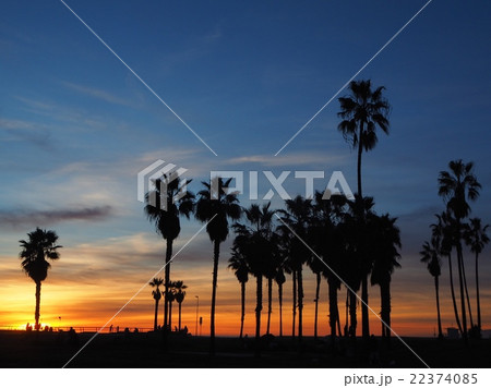アメリカ　ロサンゼルス　ヴェニスビーチの夕暮れ　 22374085