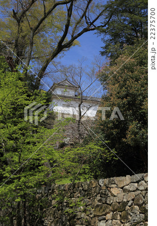 彦根城大手門付近から見上げる天秤櫓 22375700