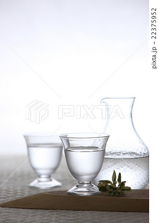 冷酒 22375952