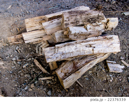 firewood firewood 22376339