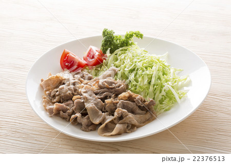 豚焼き肉 22376513