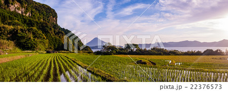開聞岳と池田湖畔の棚田 22376573