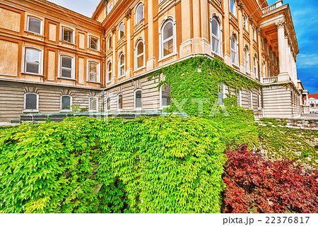 Budapest Royal Castle close-up at day  time.  22376817